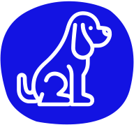 petair tiertransport icon hund faq