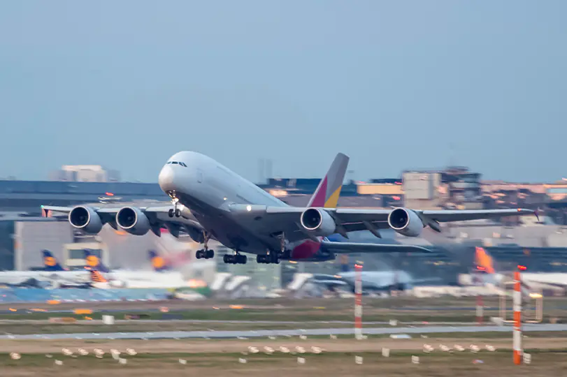 petair tiertransport kundenstimmen flugzeugstart