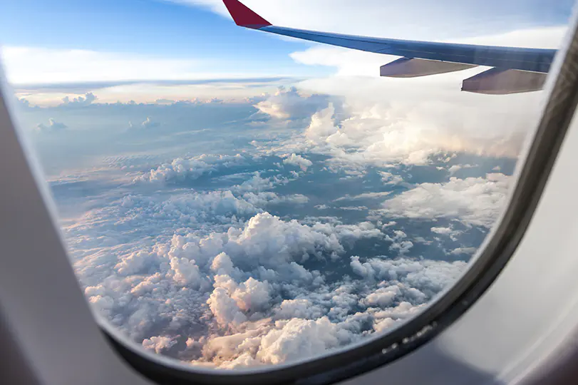 petair tiertransport kundenstimmen flugzeug aussicht