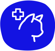 petair tiertransport icon katze