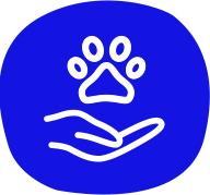 petair tiertransport icon betreeung beratung petair tiertransport icon betreeung beratung